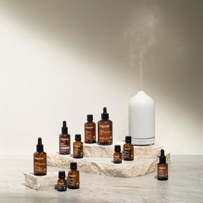 Cliganic Organic Essential Oil Sleep Surrender Blend – Dose of Dreamland (Packaging May Vary)