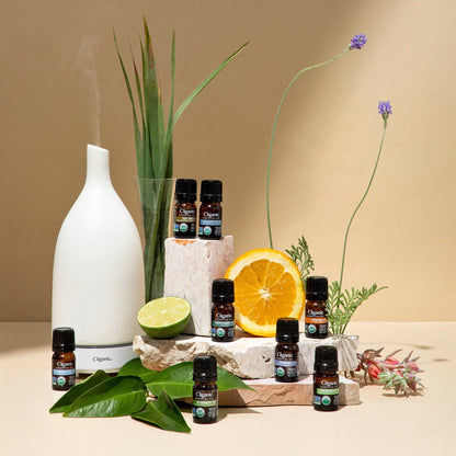 Cliganic USDA Organic Spearmint Essential Oil - 100% Pure, 10ml