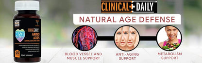 CLINICAL DAILY Acetyl L-Carnitine & Alpha Lipoic Acid Complex - ALCAR ALA - 60 Capsules