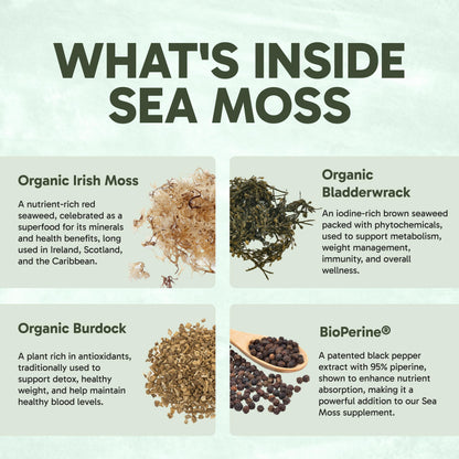 Clinical Effects Sea Moss Capsules – Organic Irish Sea Moss with Bladderwrack & Burdock Root (Bioperine) – Thyroid, Heart Health, Weight Management, Energy – 60ct USA