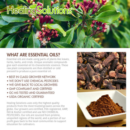 Healing Solutions Clove Essential Oil – 100% Pure Therapeutic Grade, 120ml