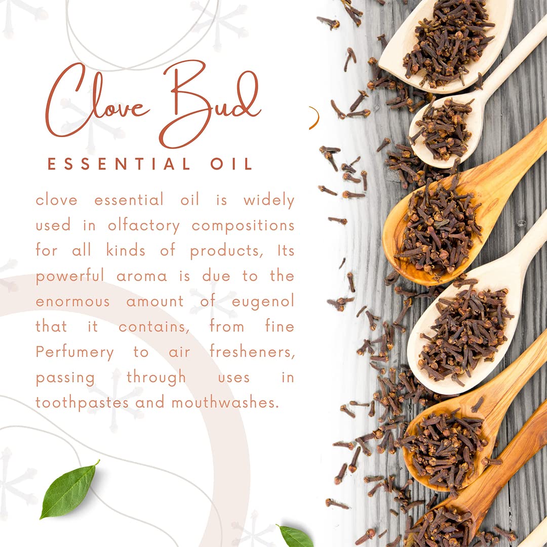 Natural Riches Pure Clove Essential Oil 4 Oz | Therapeutic Grade