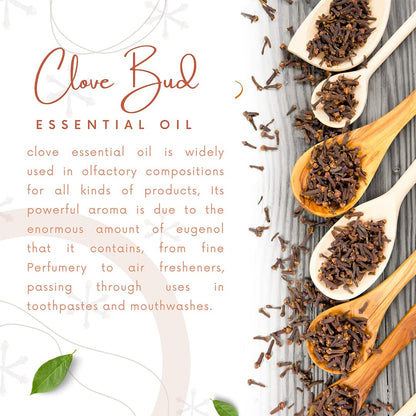 Natural Riches Pure Clove Essential Oil 4 Oz | Therapeutic Grade