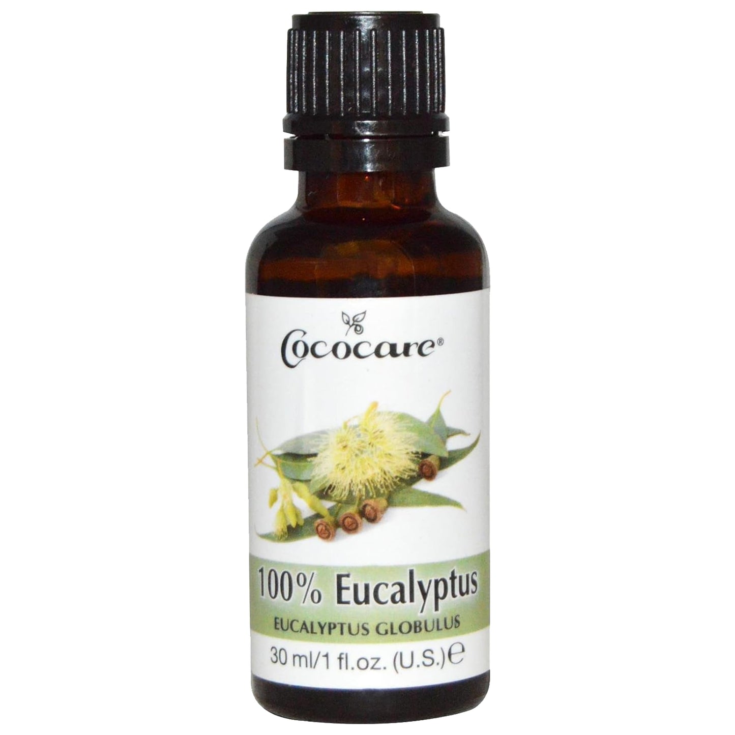 Cococare 100% Eucalyptus Massage Oil - 1 oz | Pure Essential Oil for Sore Muscles