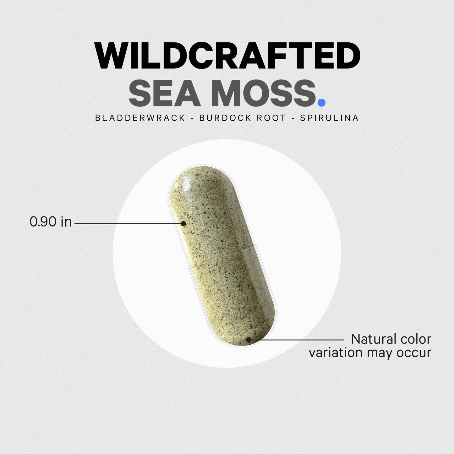 Codeage Raw Wildcrafted Irish Sea Moss + Spirulina, Bladderwrack, Burdock – 120 Capsules