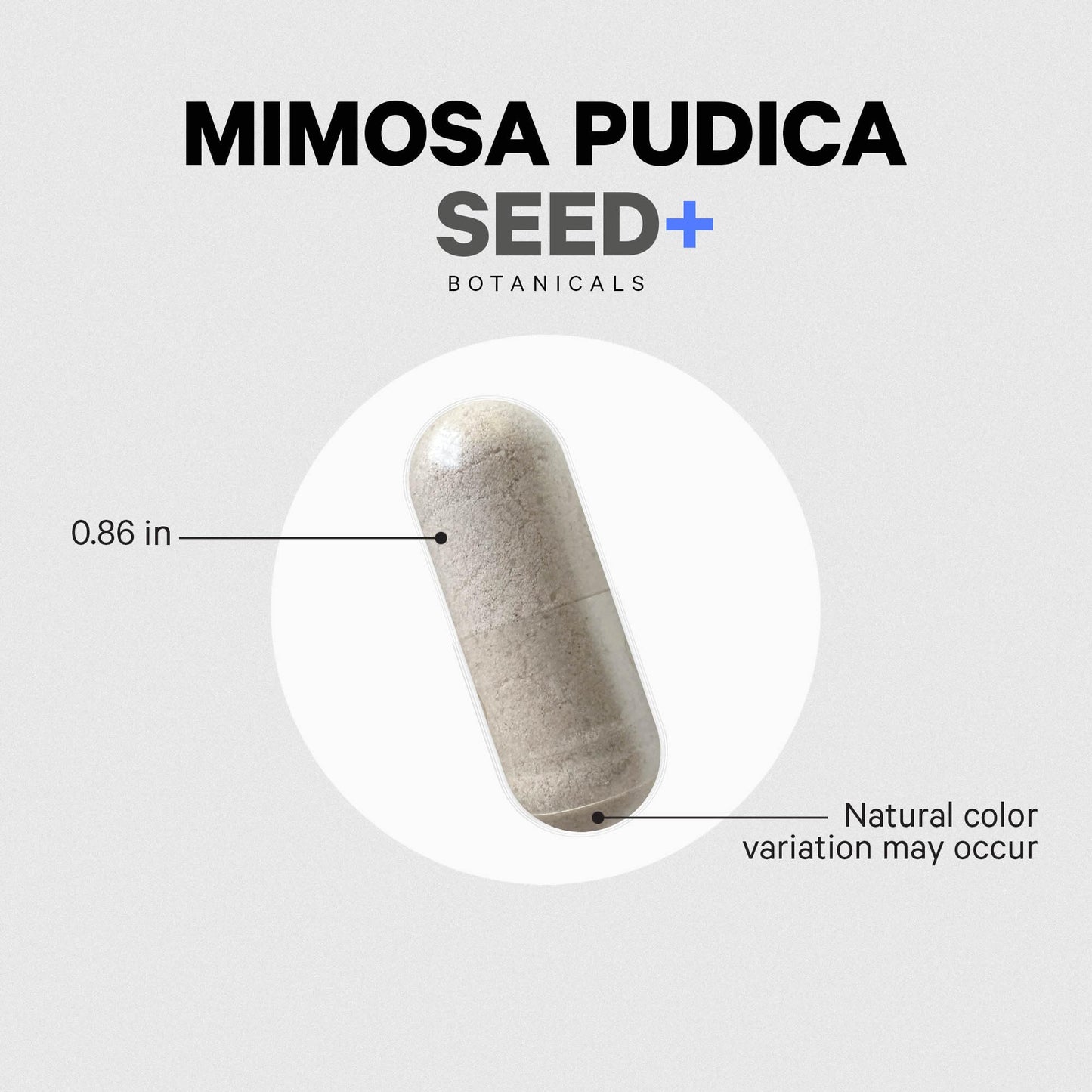 Codeage Mimosa Pudica Seed Capsules – 1,000 mg, Vegan & Non-GMO, 120 Caps