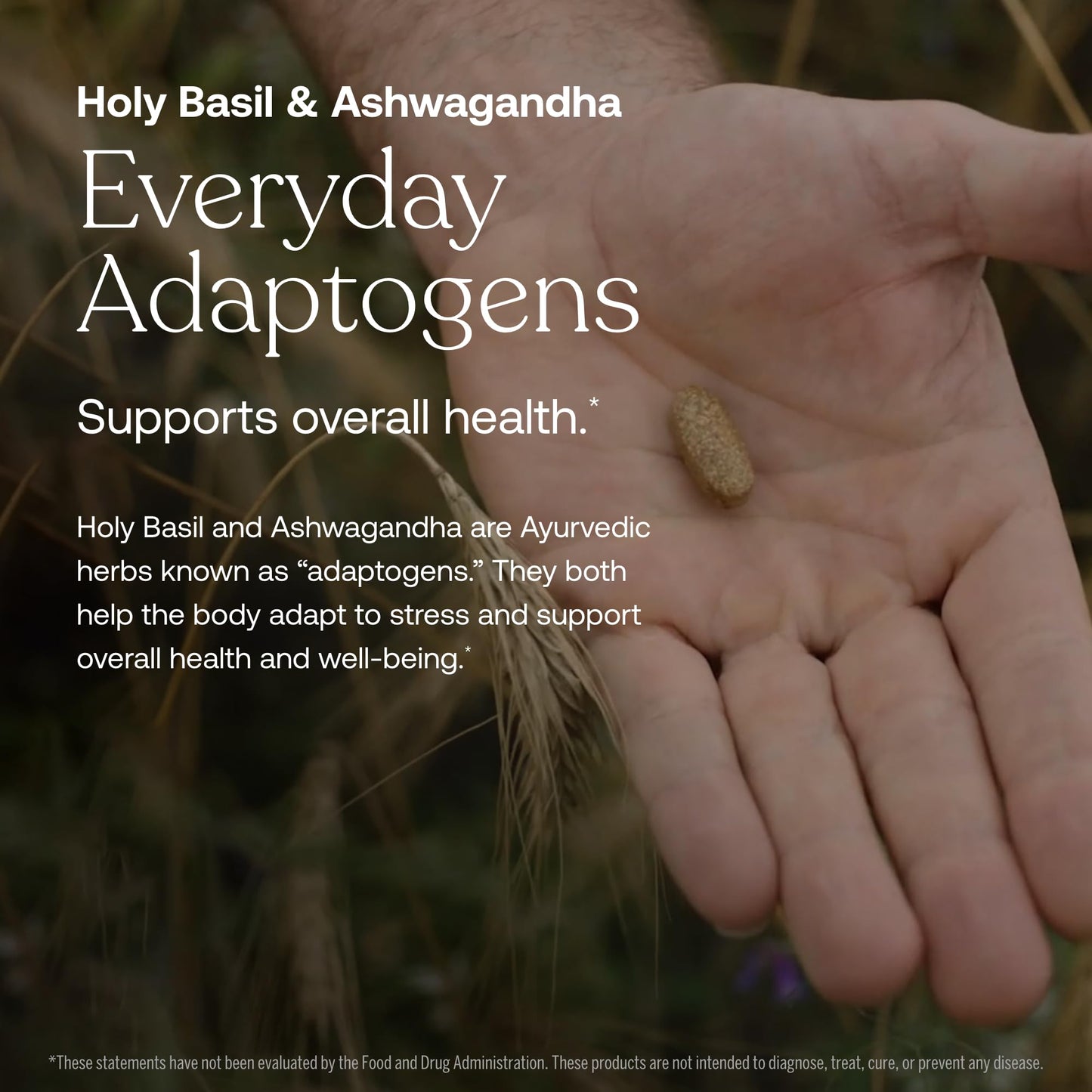 True Grace One Daily Men's Multivitamin - Fermented Minerals, Organic Adaptogens & Mushrooms