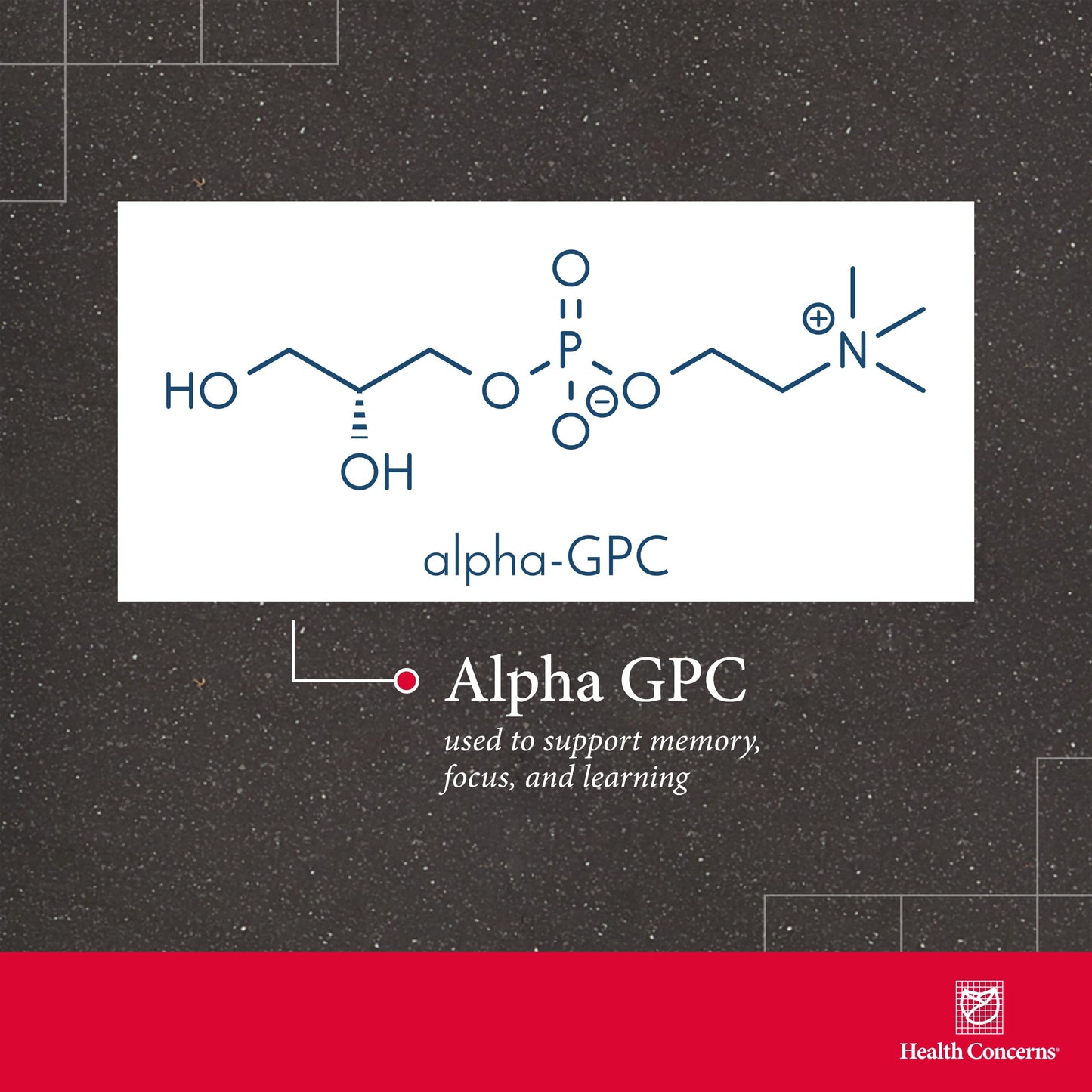 Cogni-Spark Brain Support – Alpha-GPC Choline for Memory & Focus | Health Concerns – 30 Capsules