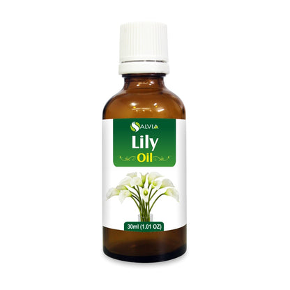 Lily (Lilium Auratum) Essential Oil - Pure & Natural Undiluted Oil, 30 ml | Aromatherapy & Therapeutic Grade