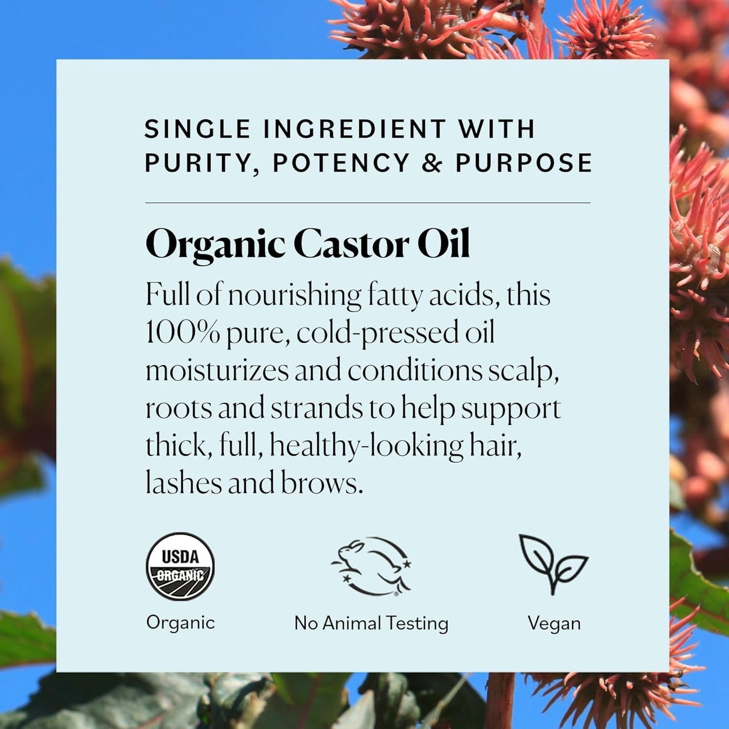 Sky Organics Castor Oil Organic – Volumizing Hair Oil for Scalp, Lashes & Brows | Cold-Pressed, 16oz, 2 Pack