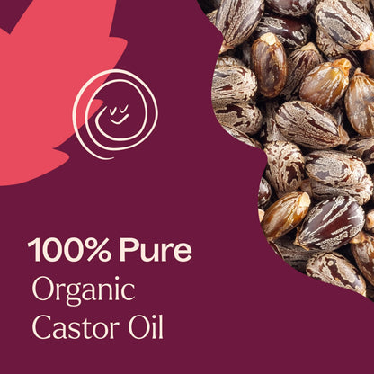Plant Therapy Organic Castor Oil 4oz – Cold-Pressed, Hexane-Free, USDA Organic