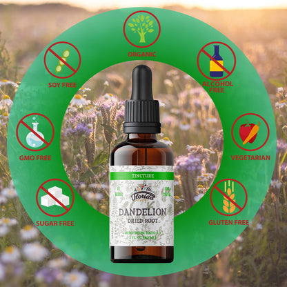 Dandelion Root Tincture Organic Dandelion Extract – 2 oz, 685 mg | Non-GMO