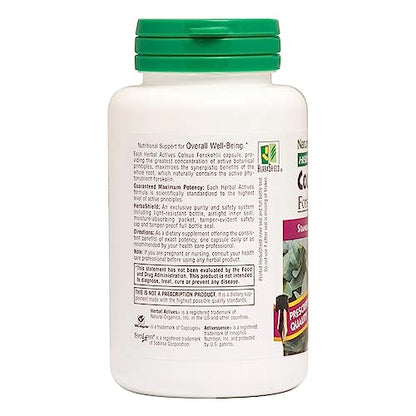 NaturesPlus Herbal Actives Coleus Forskohlii - 60 Vegetarian Capsules - Gluten Free - 60 Servings