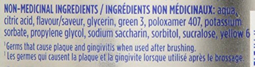 Colgate Total Advanced Pro-Shield Mouthwash – Spearmint, 33.8 oz
