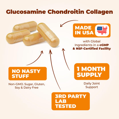 Glucosamine Chondroitin MSM with Hydrolyzed Collagen – Joint Support