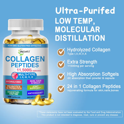 Collagen Peptides Softgels – Multi Collagen with Glucosamine, MSM, Biotin | Non-GMO