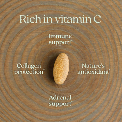 New Chapter Fermented Vitamin C + Elderberry – ONE Daily Immune Support, Collagen Protection, 60 Count