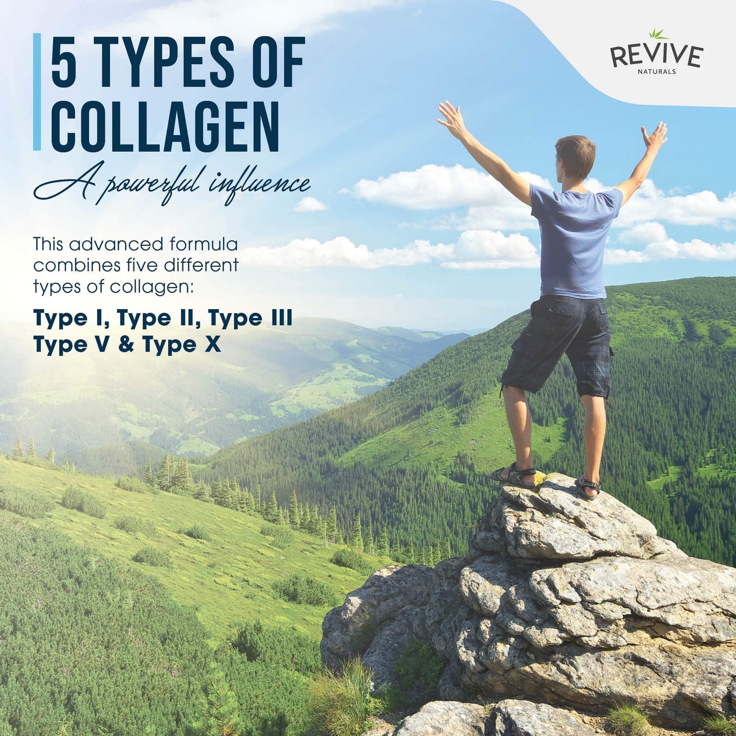 Multi Collagen Protein Powder Packets – Types I, II, III, V & X | Grass-Fed Bovine, Wild-Caught Fish, Free-Range Chicken & Eggshell Collagen | Non-GMO, Halal | 10g per Scoop | 20 Packets