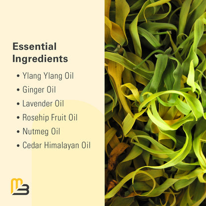 Ylang Ylang + Ginger Lymphatic Drainage Massage Oil – Collagen & Stem Cells | 8oz | M3 Naturals