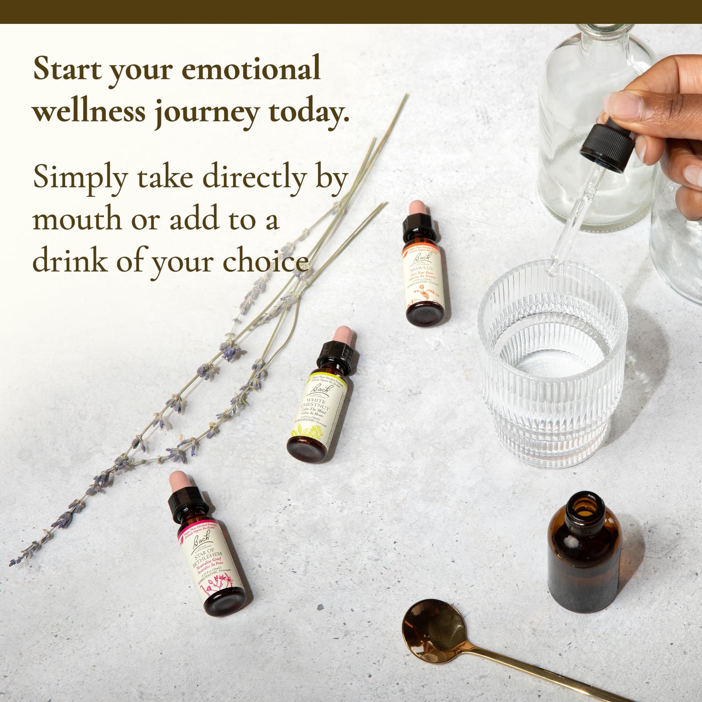 Bach Original Flower Remedies Full Set (Non-Alcohol) - 38 + 2 Rescue Remedy, 40 Droppers