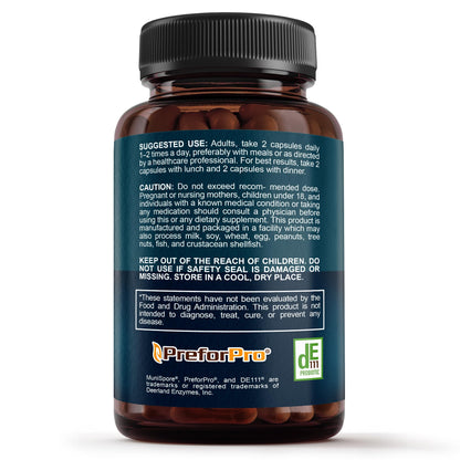 Premium 4-in-1 Probiotic with Prebiotic, Postbiotic & Digestive Enzymes – Gut Health, Digestion & Immunity – 60 Capsules