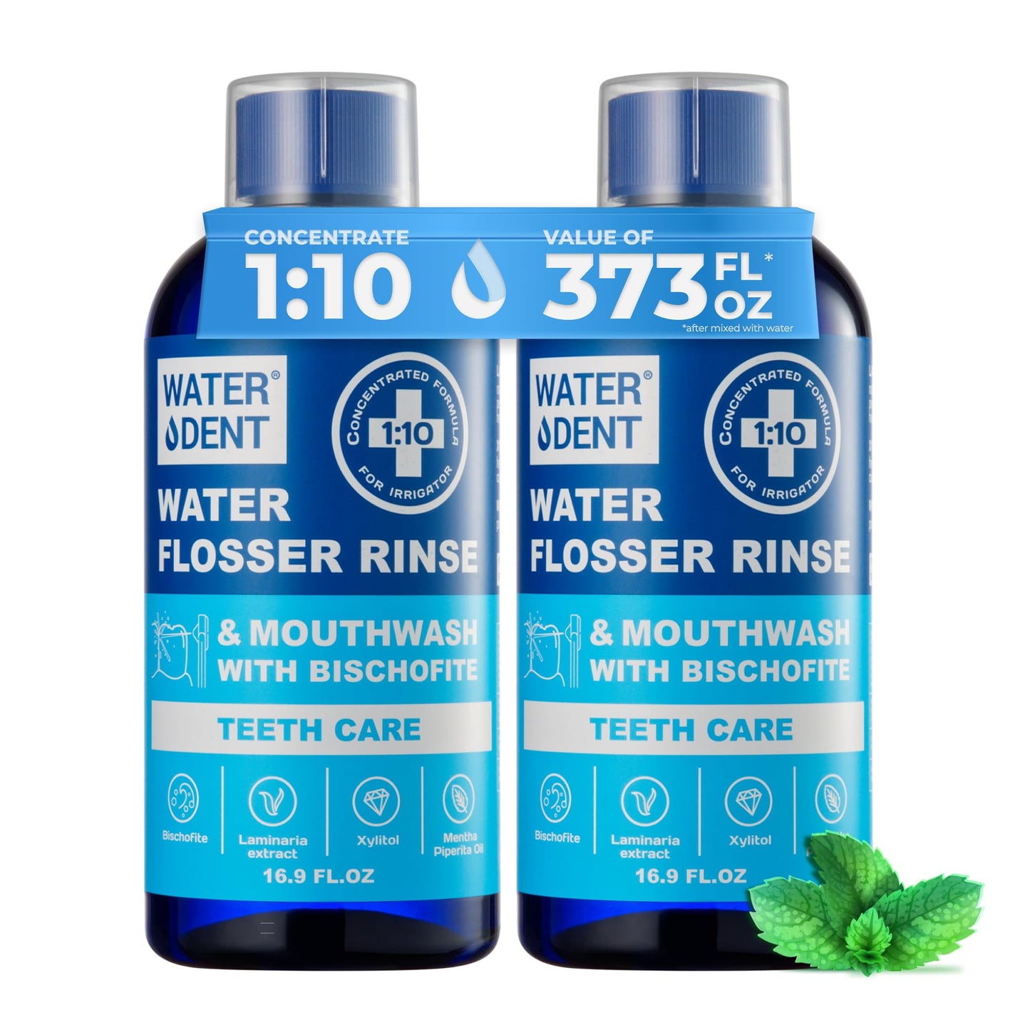 Concentrated Water Flosser Rinse & Mouthwash – Mint, USA Made, 2-Pack