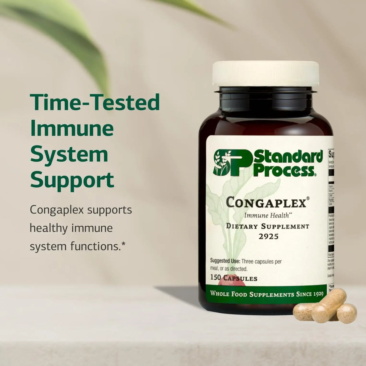 Congaplex Thymus Gland Support - Immune Health Capsule Supplement, 150 Capsules | Standard Process Inc. BritishVita | Premium UK Vitamins & Wellness Supplements