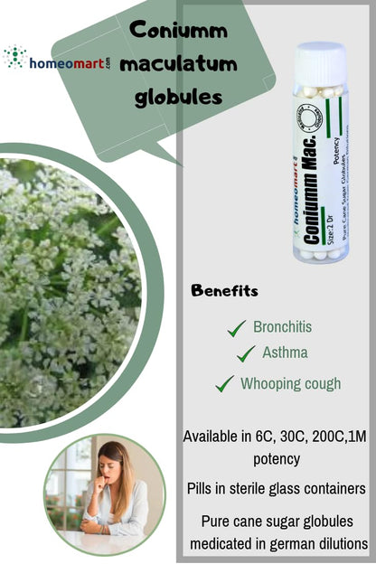 Conium Maculatum Homeopathy Pellets 30C Pack of 3 | Homeomart