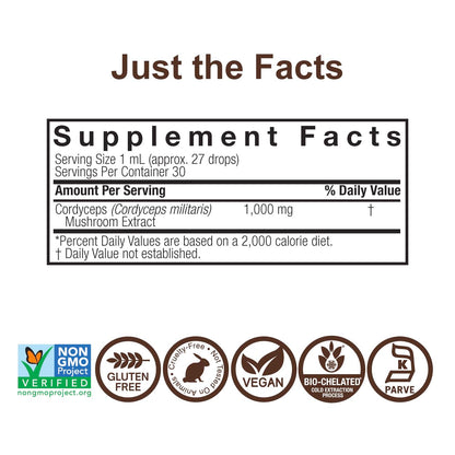 Cordyceps Mushroom Extract – Alcohol Free, 1 fl oz (30 ml) | 1,000 mg per Serving