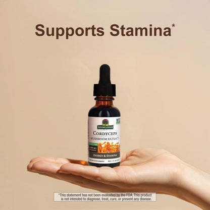 Cordyceps Mushroom Extract – Alcohol Free, 1 fl oz (30 ml) | 1,000 mg per Serving