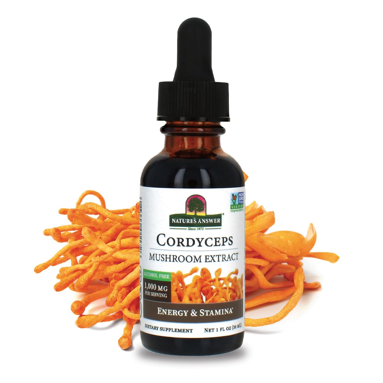 Cordyceps Mushroom Extract – Alcohol Free, 1 fl oz (30 ml) | 1,000 mg per Serving