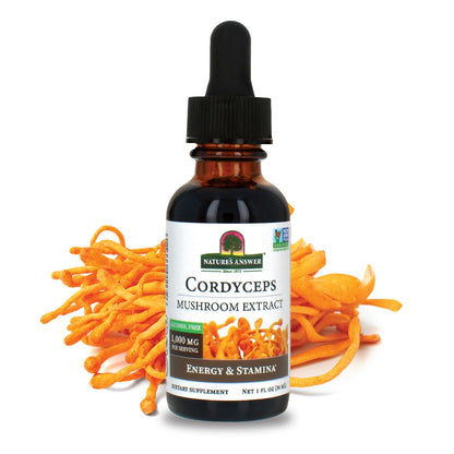 Cordyceps Mushroom Extract – Alcohol Free, 1 fl oz (30 ml) | 1,000 mg per Serving