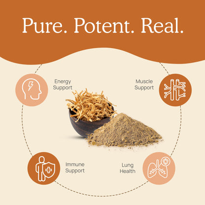 Real Mushrooms Cordyceps Mushroom Powder – Organic Cordyceps Mushroom Powder, Beta Glucans, Non-GMO, Vegan, 60 Servings