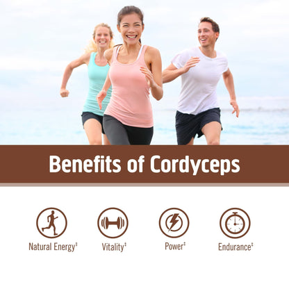 OM Mushroom Cordyceps Powder – Organic, Vegan, Non-GMO, Gluten-Free | Energy & Endurance Support