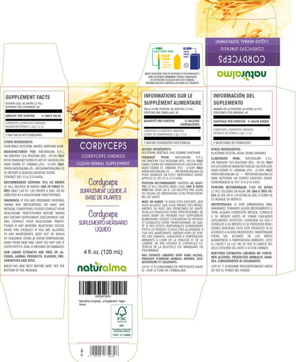 Naturalma Cordyceps Tincture 4 fl oz – Alcohol-Free, Vegan Drops