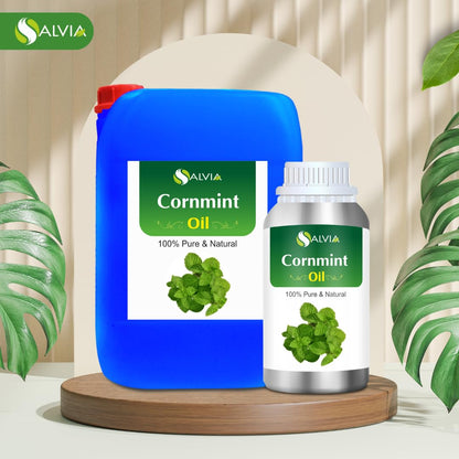 Cornmint Oil (Mentha arvensis) 100% Natural Pure Undiluted Uncut Essential Oil - 8.45 Fl Oz (Pack of 1)