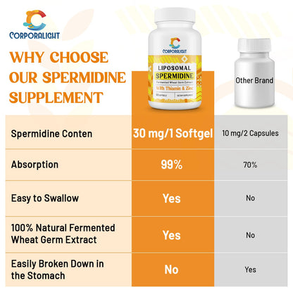 CORPORALIGHT 30mg Spermidine Softgels – High Absorption, Fermented Wheat Germ Extract, 240 Count