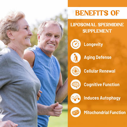 CORPORALIGHT 30mg Spermidine Softgels – High Absorption, Fermented Wheat Germ Extract, 240 Count
