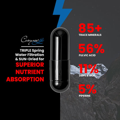 cosynee Himalayan Shilajit - Shilajit Capsules, Shilajit for Men, Shilajit for Women, 56% Fulvic Acid & 5% Piperine, 90 Caps