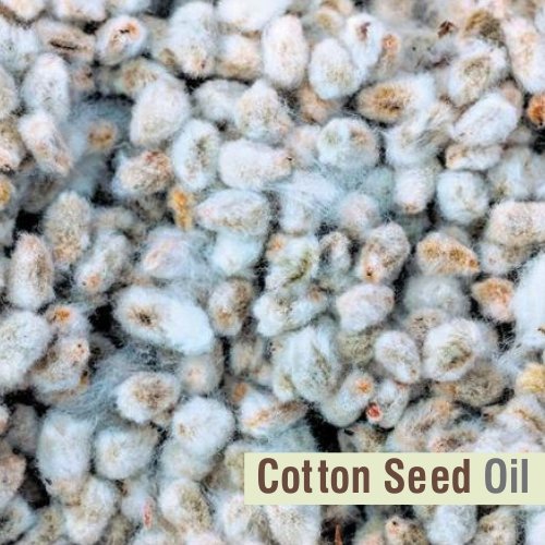 Cotton Seed Oil (Gossypium Herbaceum) – Pure Carrier Oil for Aromatherapy | 30 ml