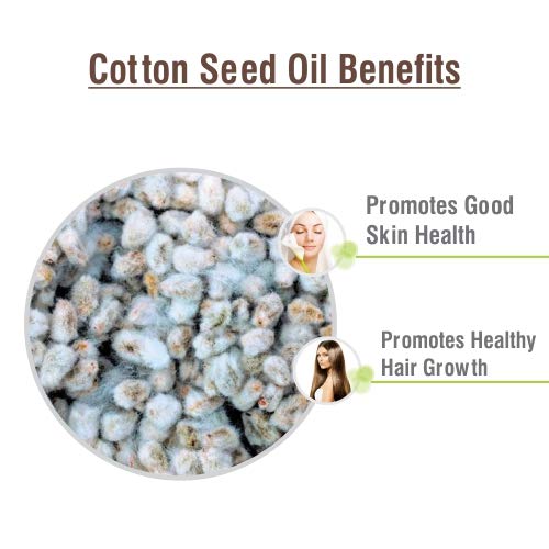Cotton Seed Oil (Gossypium Herbaceum) – Pure Carrier Oil for Aromatherapy | 30 ml