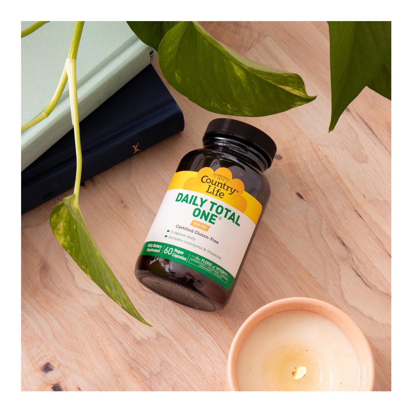 Country Life Daily Total One Iron-Free Multivitamin | 60 Vegan Capsules