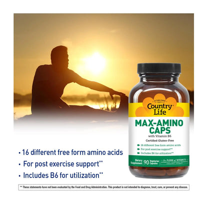 Country Life Maxi-Amino: 16 Free-Form Amino Acids, 90 Veg Capsules per Bottle, Pack of 2 | Gluten Free & Vegetarian BritishVita | Premium UK Vitamins & Wellness Supplements