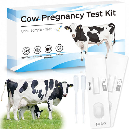 2-Pack Cow Pregnancy Test Kit — Fast Urine Test for Early Detection (5–10 Minutes)