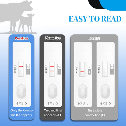 2-Pack Cow Pregnancy Test Kit — Fast Urine Test for Early Detection (5–10 Minutes)
