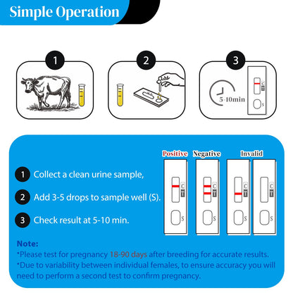 2-Pack Cow Pregnancy Test Kit — Fast Urine Test for Early Detection (5–10 Minutes)