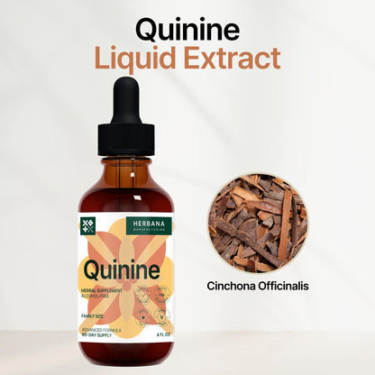 Quinine Liquid Extract 4 oz - Digestive Health & Immune Support | Cinchona Bark Tincture