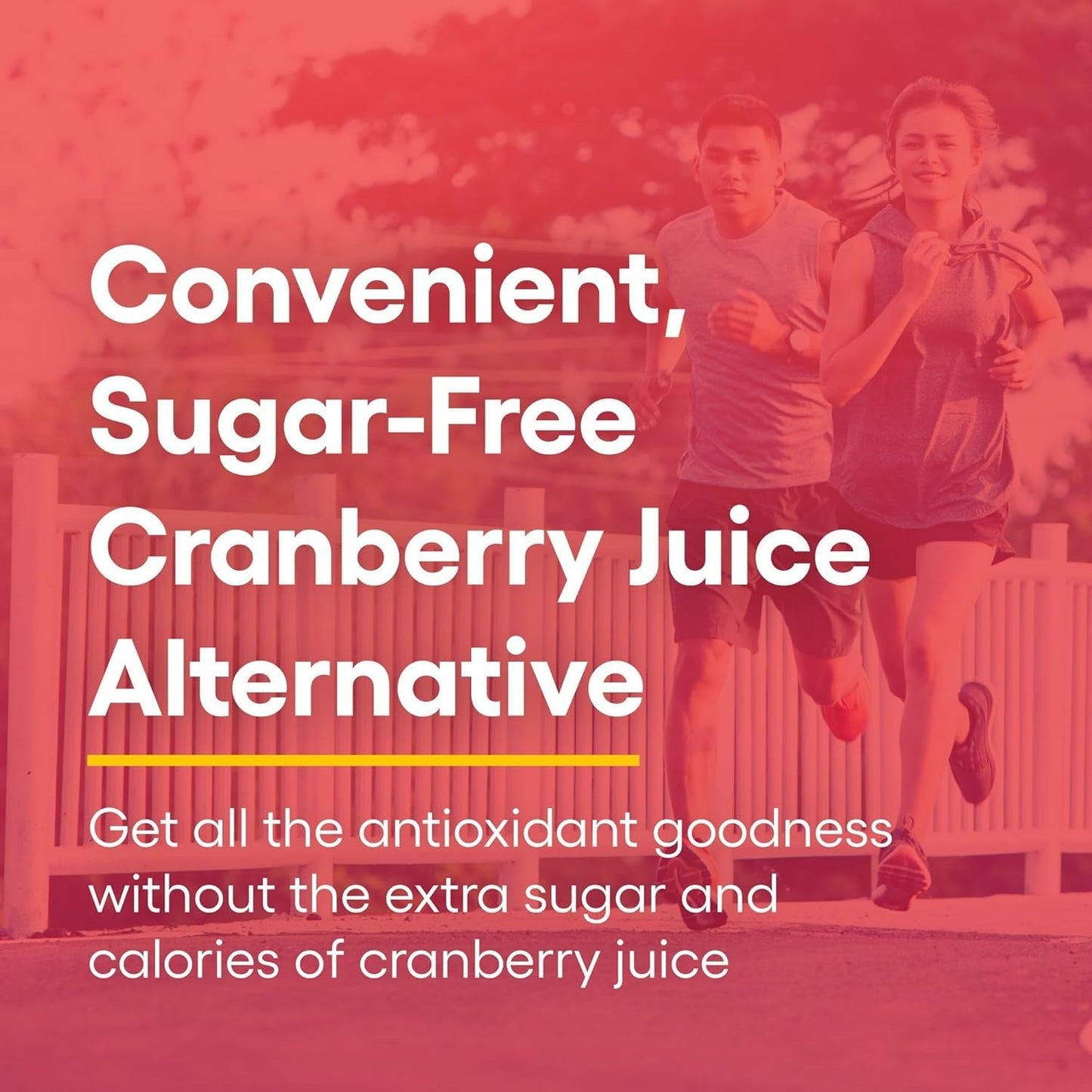 Natural Factors CranRich Cranberry Concentrate – Antioxidant & Urinary Tract Health (180 Capsules)