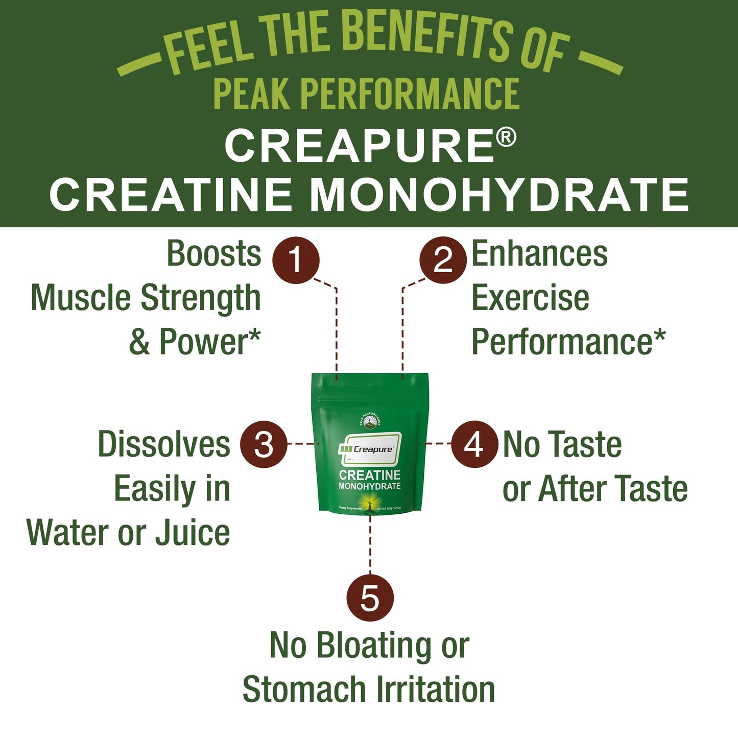 Creapure Creatine Monohydrate Powder – Ultra High Purity, German Made, Unflavored