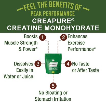 Creapure Creatine Monohydrate Powder – Ultra High Purity, German Made, Unflavored